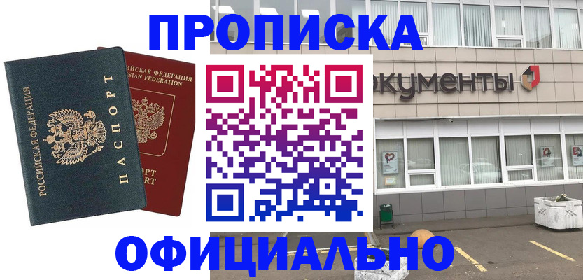 прописка поиск в Курске